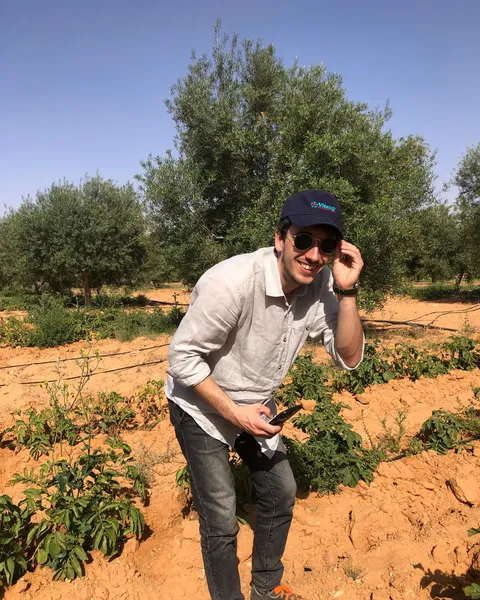 Sopralluogo in campo su una coltura con irrigazione a goccia